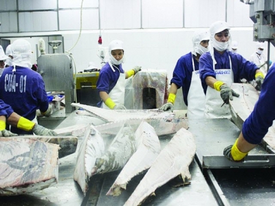 Fishery enterprises are in trouble because of IUU yellow card