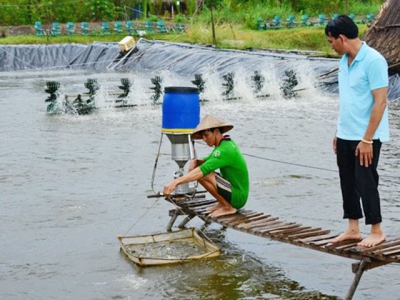 Nuôi tôm hai giai đoạn kết hợp công nghệ biofloc và UV