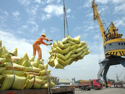 Businesses need to be cautious about exporting rice to Philippines