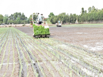 Thanh Hoa: Hi-tech agricultural production is inevitable direction