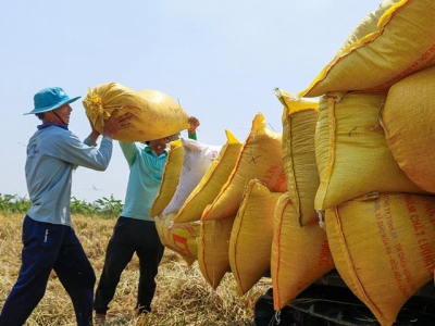 Agro-forestry-fishery exports record trade surplus