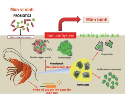 Chiến lược kiểm soát dịch bệnh