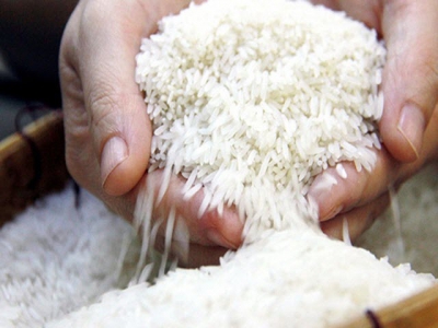 First batch of best rice strain to be exported to EU next week