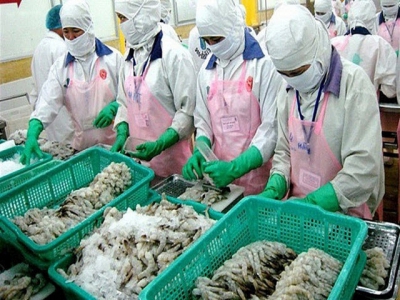 Aquatic exports set to reach US$8.3 billion amid signs of recovery