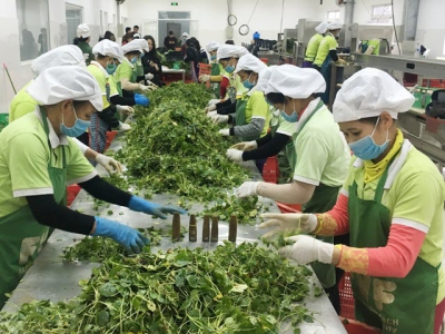 Vietnamese farming exports reach US$26.1 billion over the past eight months