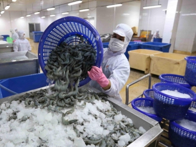 Seafood exports forecasted to prosper in the fourth quarter