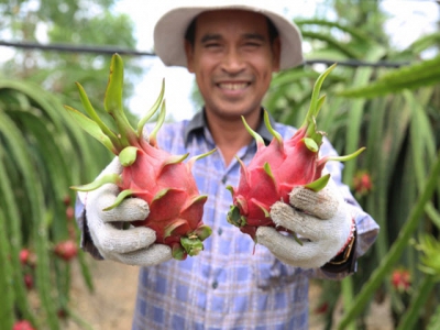 Code for growing area and packing facility helps fruits and vegetables reaching further