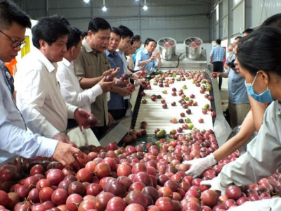 Vietnam aims to become worlds farm produce granary