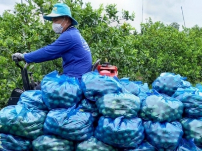 Support the connection of agricultural output into the harvest crops