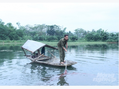 Hiệu quả từ chuyển đổi đất lúa kém hiệu quả sang nuôi tôm càng xanh