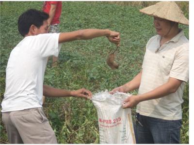 Những Dũng Sỹ Bảo Vệ Mùa Màng Bội Thu