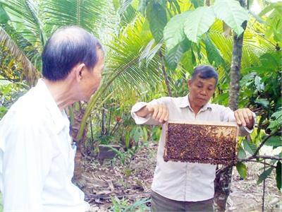 Một Mô Hình Nuôi Ong Mật