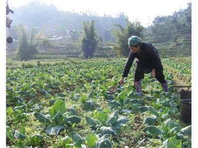 Vụ Đông Mang No Ấm Cho Người Na Hối