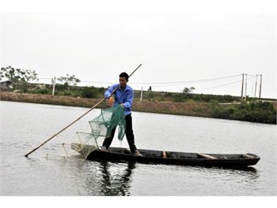 Lập Nghiệp Từ Cánh Đồng Hoang