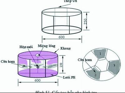 Bí quyết khai thác ghẹ bằng lồng bẫy