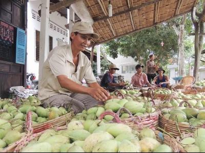 Bớt nỗi lo được mùa, rớt giá