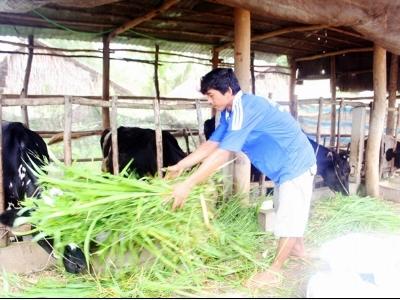 Cú hích cho Mỹ Tú