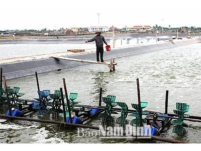 Phát triển nuôi thủy sản bền vững ở Hải Chính