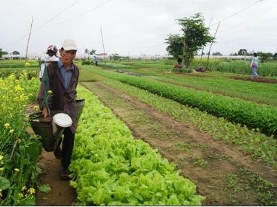 Tạo động lực phát triển