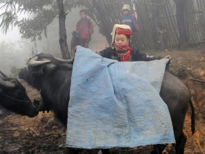 Trải chăn chống rét cho đầu cơ nghiệp