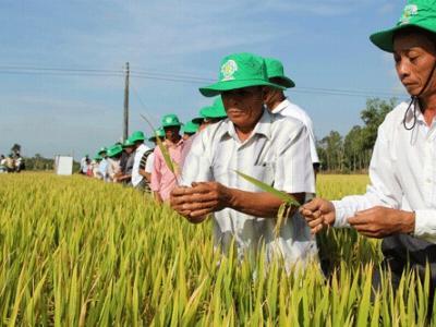 Đột phá làm nông nghiệp kiểu mới