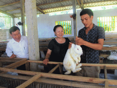 Nông dân giỏi liên kết, hỗ trợ nhau làm giàu