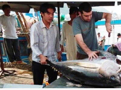 Vietnam needs tighter regulations over seafood management