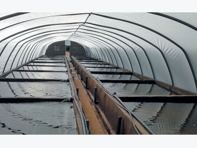 Aquaculture 101: the advantages of greenhouse tunnels