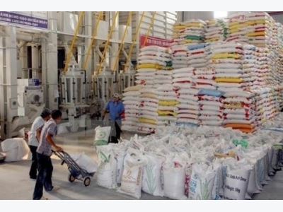 VietGap standards to merit national rice brand