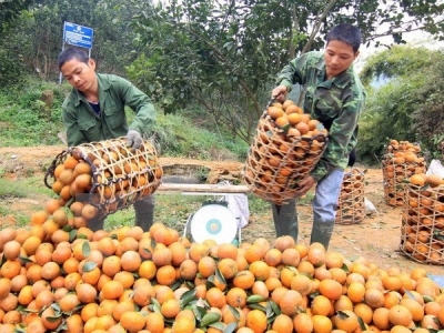 Agricultural trade fair to take place in Hanoi