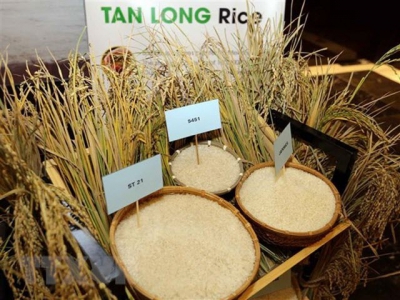 Vietnam Rice Festival 2018 to take place in Long An in December