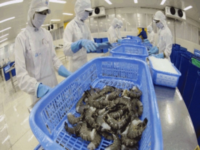 Vietnam domintaes Japaneses shrimp market