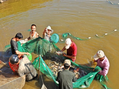 Difficulties challenge aquaculture development in the north