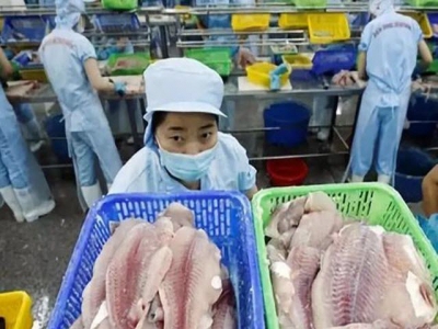 Vietnam fretting competition from other pangasius-producing countries