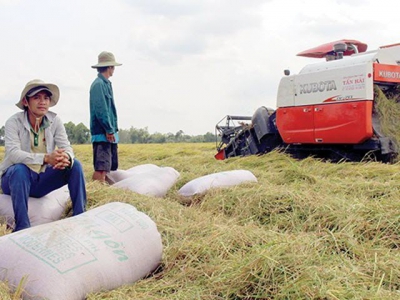 Vietnamese firms struggle to export more farm produce to China