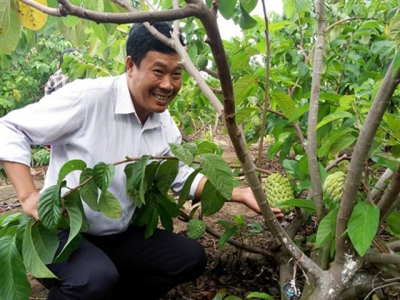 Na Hoàng Hậu đậu quả ngọt ở Đông Trường Sơn