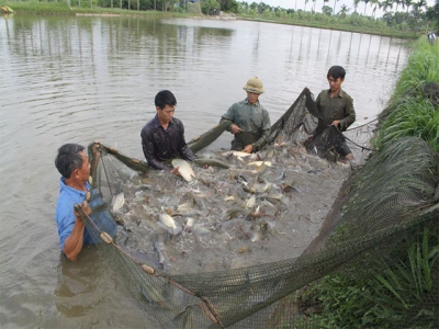 Nguyên tắc 5 đúng trong phòng và trị bệnh thủy sản