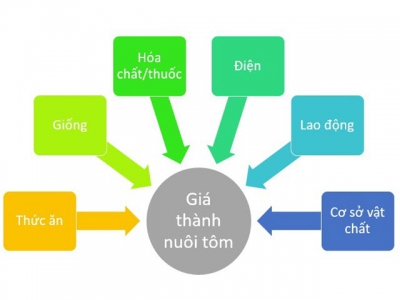 Hướng dẫn một số giải pháp nuôi tôm giảm giá thành