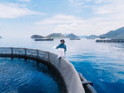 Vietnam targets 65 percent growth in marine aquaculture industry