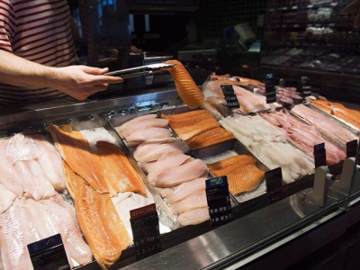 Study finds widespread seafood fraud in Canadian cities