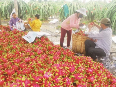 Exporting agricultural products to China: Do not use wheelbarrow