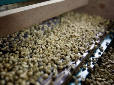 Vietnams Jan-Sept coffee exports drop 1.4%, rice down 0.6%