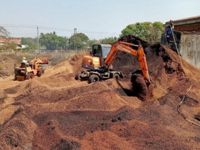 Organic fertilizers bountiful input - the coffee husks