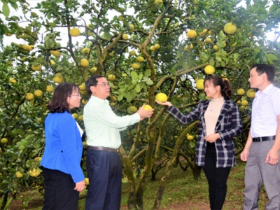 Organic farming - hard to carry out, but easy to consume