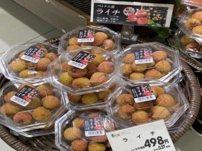 Vietnams litchis, longan sell at high prices overseas
