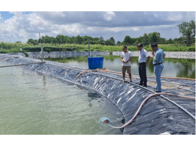 Bạc Liêu phấn đấu sớm trở thành trung tâm ngành công nghiệp tôm của cả nước