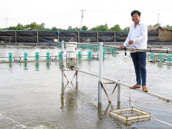 Bình Đại nuôi tôm hai giai đoạn cho hiệu quả cao