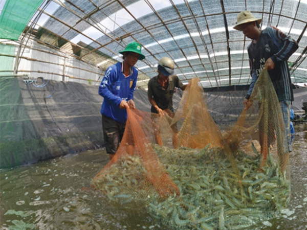 An toàn sinh học cho nuôi trồng thủy sản