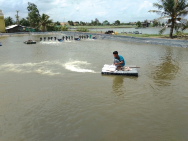 Kiểm soát độ mặn ao tôm