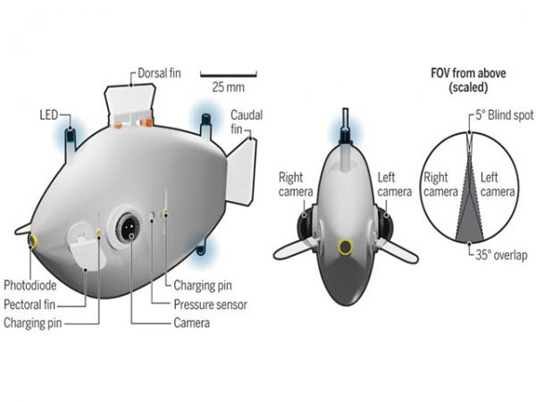 Cá robot - Phương tiện mới cho hoạt động cứu hộ trên biển